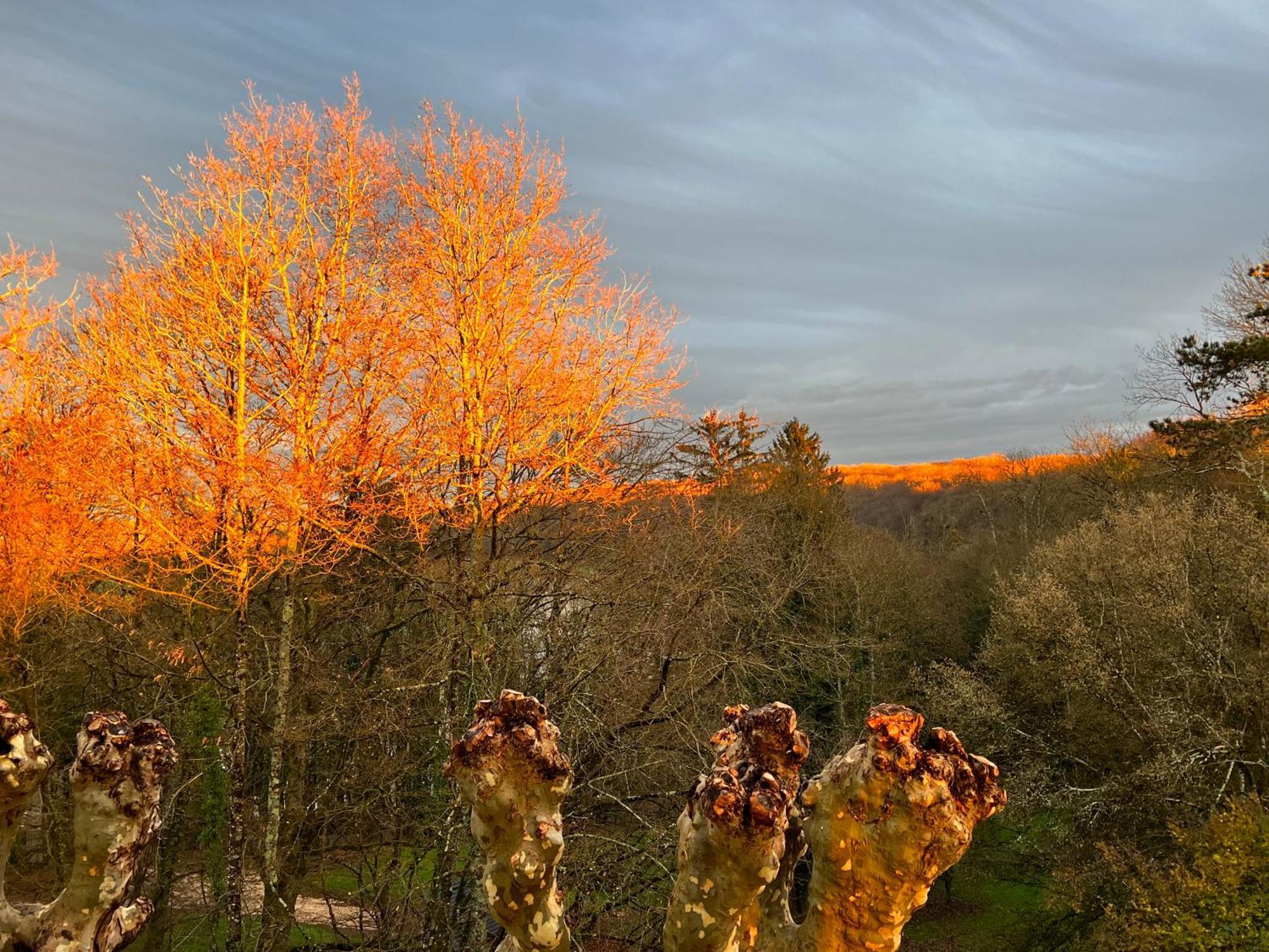 Appartamento Domaine de Val combe Dole Esterno foto